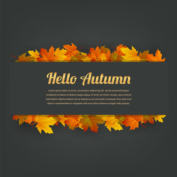 Hello autumn. Background with falling autumn leaves. Vector