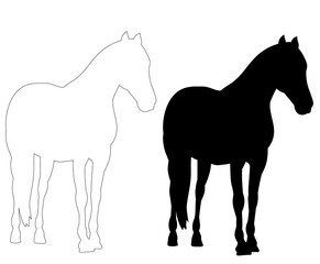 Fototapeta na wymiar black silhouette horse running, on white background