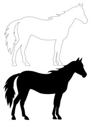 black silhouette horse