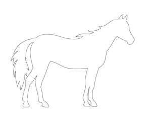  sketch just a horse is worth