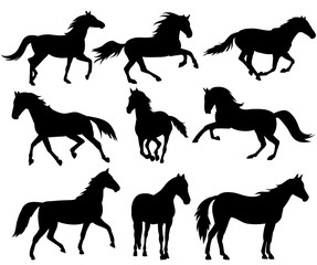 silhouette horse running, collection