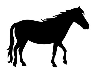 on white background, black silhouette horse running