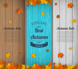 Autumn banners set. Autumn Sale. Background with falling leaves. Vector