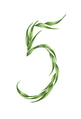 Number 5, alphabet of green leaves, Numbers from leaves isolated on white background. Symbol 5 with the green leaves texture. Eco symbol collection. Watercolor illustration.
