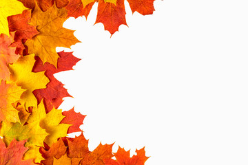 Naklejka na ściany i meble Autumn background. Isolated maple leaves.