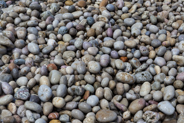 Large wet sea pebbles. Stone background for tiles, facades of houses.