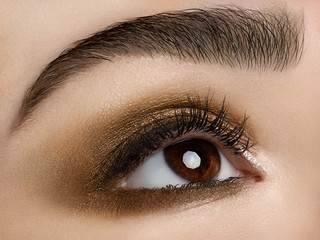 Macro shot. Close-up beauty of woman's eye. Sexy smoky eyes makeup with brown eyeshadows. Perfect strong shape of eyebrows. Make-up and Cosmetics