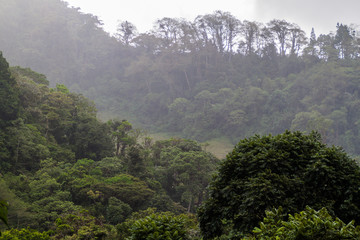 Rainy day near Boquete, Panama