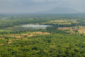 Fototapeta premium Landscape near Sigiriya, Sri Lanka. Sigiriya tank (Sigiri Wewa)