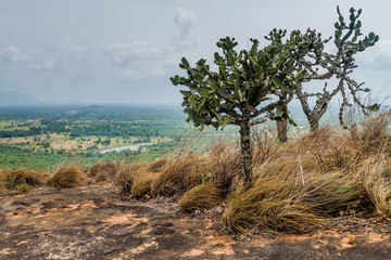 Fototapeta na wymiar View of surrounding landscape from Pidurangala Rock, Sri Lanka