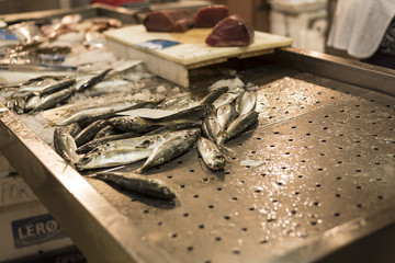 Frischer Fisch am Fischmarkt