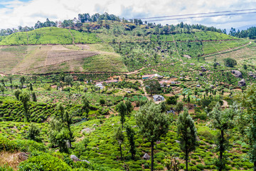 Small settlement near Idalgashinna village, Sri Lanka