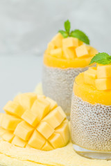 Chia seeds pudding with mango puree in beautiful glasses with green mint leaves and cut fresh ripe tropical fruit.