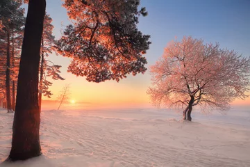 Foto auf Alu-Dibond Winterlandschaft © alexugalek