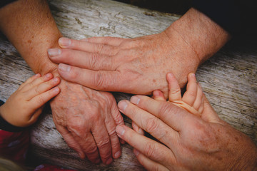 grandparents and kids hands, concept of family