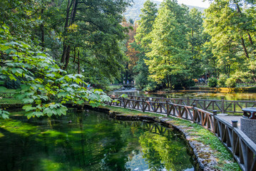 Fototapeta na wymiar Sarajevo, Bosnia and Herzegovina: august 05,2015: Beginning river Bosna at Nature park Vrelo Bosne