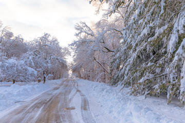 Snowy Road 1