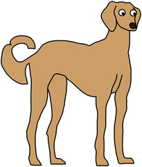 saluki dog cartoon