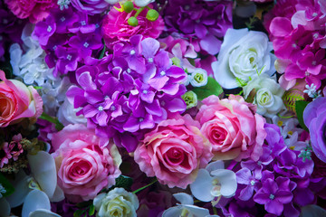 Beautiful wall made of violet purple flowers, roses, valentines day background / Beautiful flowers wall from wedding celebration