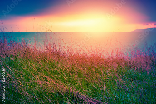 Landscape With Grass At Sea Coast At Sunset Stock Photo And