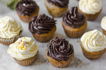 Birthday cupcake with the chocolate frosting on the top