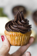 Birthday cupcake with the chocolate frosting on the top