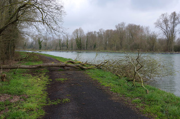 chemin au bord de la rivière Sensée a Paillencourt