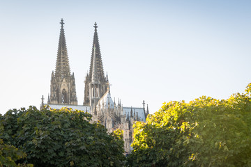 Kölner Dom im Herbst