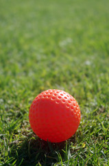Red Golf Ball on Green Grass