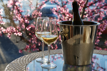 Two glasses of white cold wine on a glass table on the background of the sea and flowers.