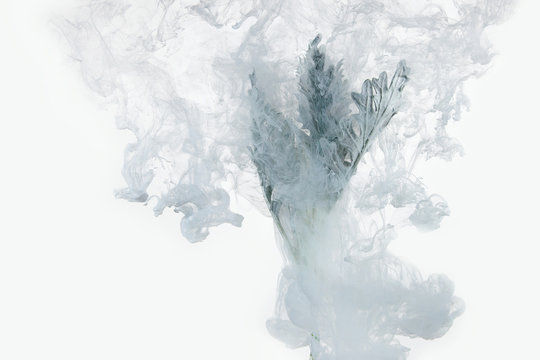flower water blue background white inside under paints acrylic smoke streaks grass sea haze blur underwater world planet