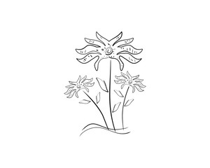 Vector of Hand Drawn Flower Doodles Ornamental