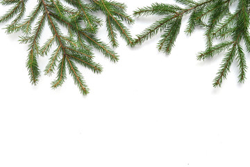 Christmas tree branches  isolated on white background. 