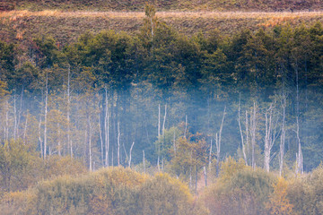 mglisty poranek na pograniczu polsko litewskim © Janusz Lipiński