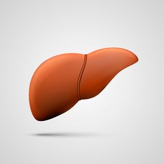 liver sign medical object art. Vector Illustration