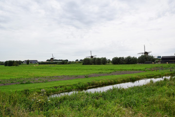 Fototapeta premium Kinderdijk, Netherlands - Windmills along the canals of the UNESCO World Heritage Kinderdijk