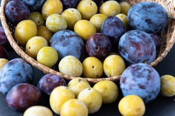 Mirabelle and Purple Plums