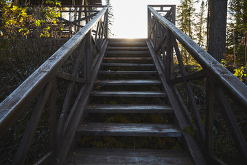 Stairs leading up in the natural park