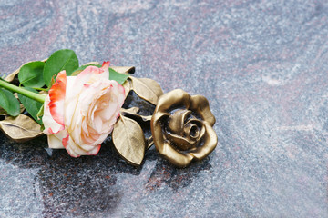 Grave with rose, Grab mit Rose, Allerheiligen, Allerseelen, Textraum, copy space
