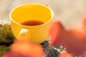 Yellow mug on autumn background
