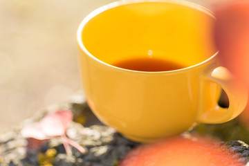 Yellow mug on autumn background