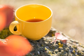 Yellow mug on autumn background