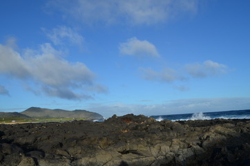 Fototapeta na wymiar Wavy Beaches of Oahu Island Hawaii USA