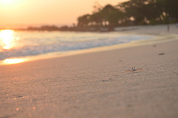 sunset on beach
