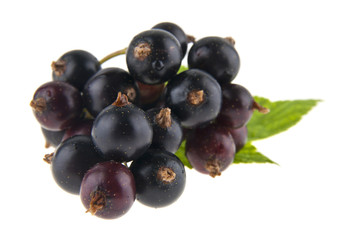 fresh, juicy black currant isolated on white background