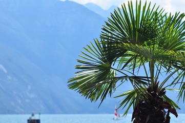 Riva del Garda