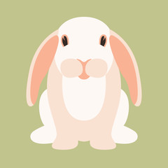  rabbit cartoon  vector illustration   flat style