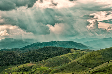 Beautiful  Pa Pong  Piang Rice landscape terraces,Chiang Mai,Mae Cham, Thailand.