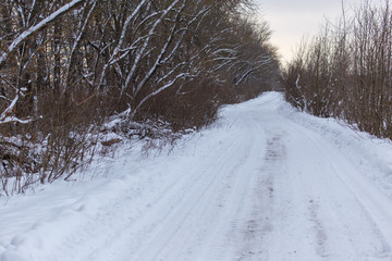 Obraz premium Snow road in the forest in winter