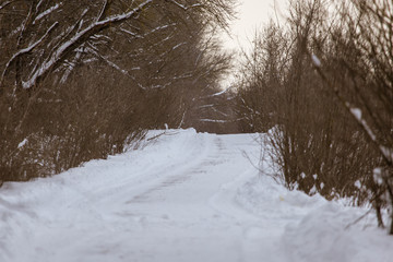 Snow road in the forest in winter